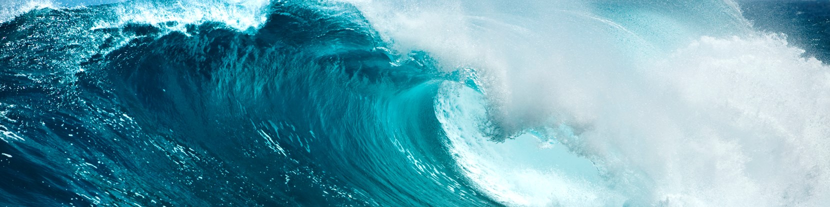 Climate risk update - a quick guide