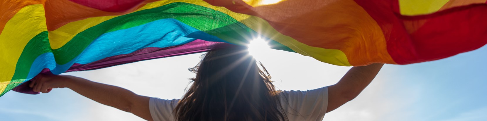 Empowering LGBT+ talent and leadership through mentoring